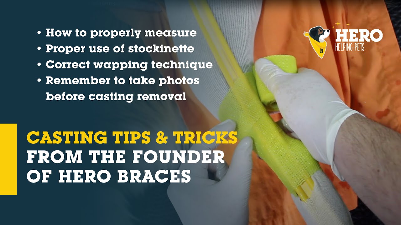 Dog Leg Brace: Casting Lab (Full Version)