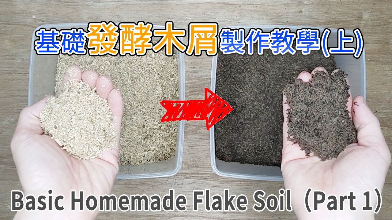 【山林蟲坊】基礎發酵木屑製作教學(上) | Basic Fermented wood chips Making Teaching (Part 1)