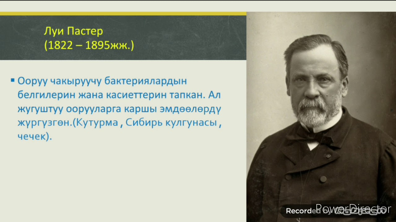 Биология. Бактериялар, алардын тузулушу жана жашоо тиричилиги