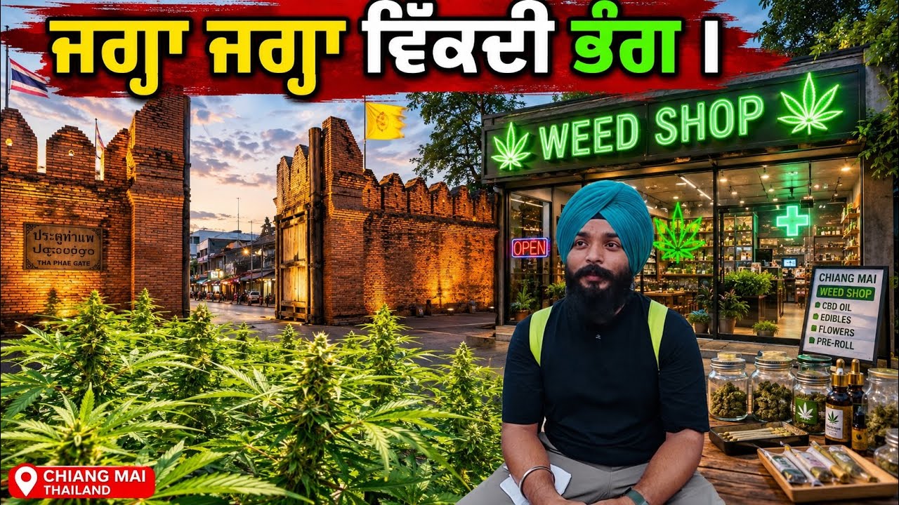 ਥਾਂ ਥਾਂ ਵਿੱਕਦੀ ਭੰਗ 24 ਘੰਟੇ || THE HISTORICAL CITY OF THAILAND CHIANG MAI SIKH TRAVELLER VLOGS