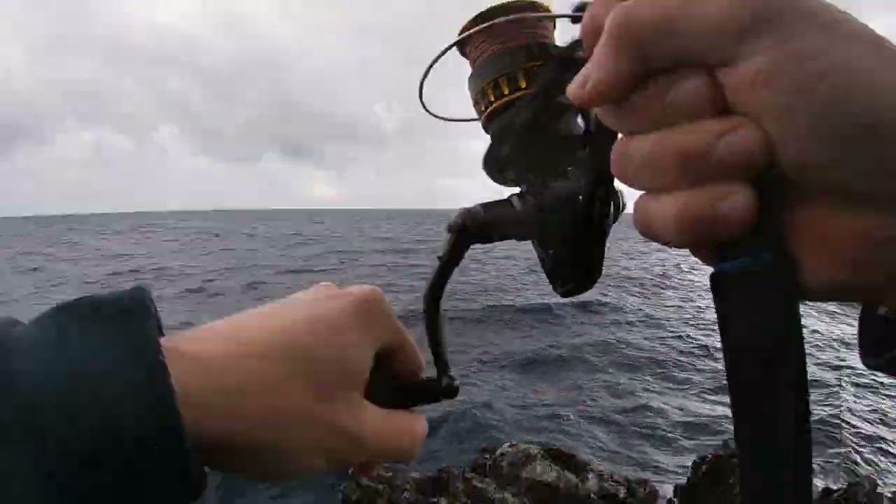 Shore Jigging Live strike huge lost amberjack??  tuna??