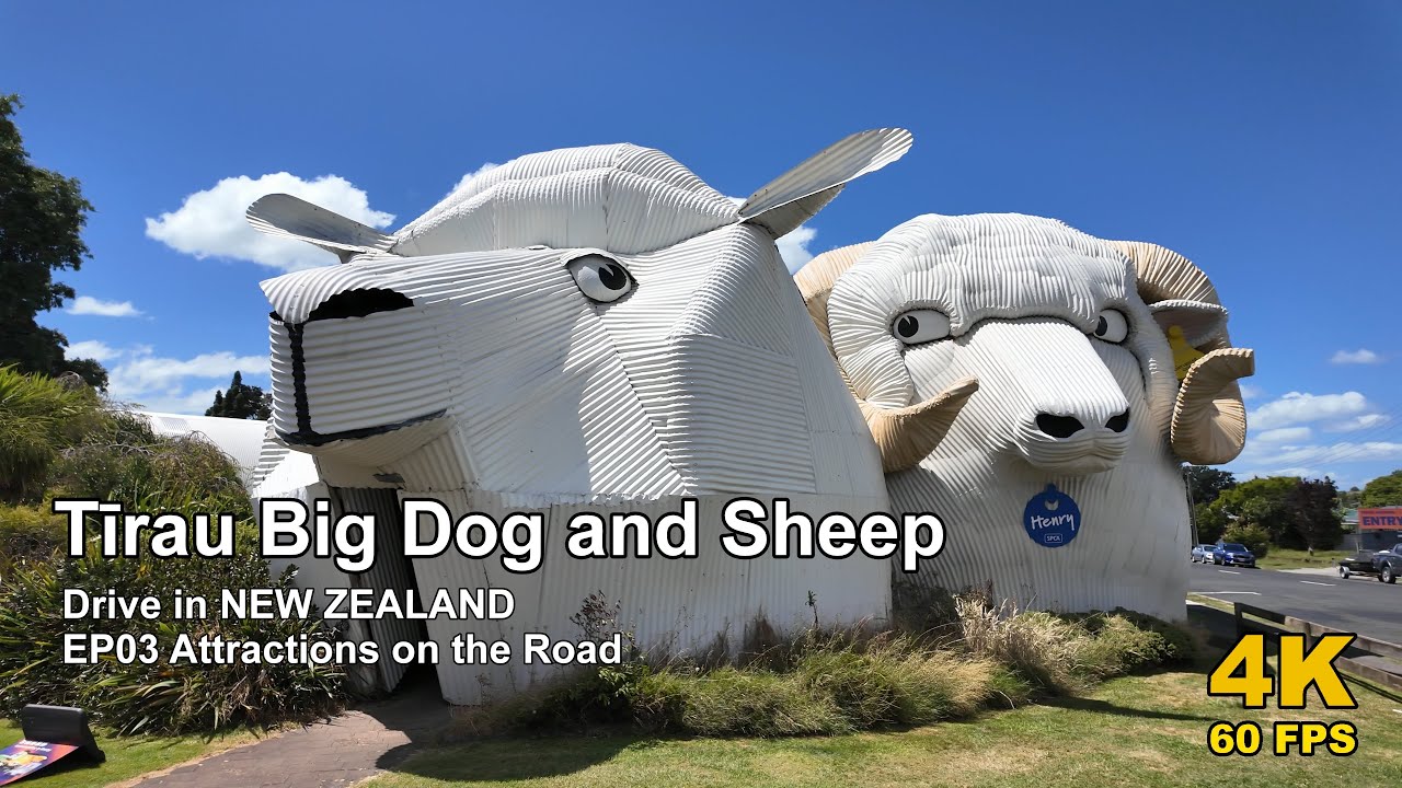 EP03 Attractions Walk | Tīrau Big Dog and Sheep 4K 60fps