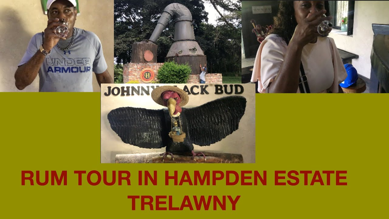 HAMPDEN ESTATE RUM TOUR JAMAICA | JAMAICA VLOG