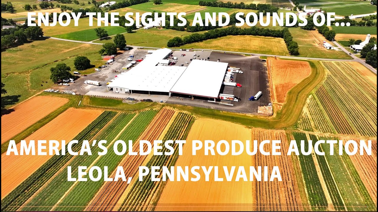 LEOLA PRODUCE AUCTION in Lancaster's AMISH LAND...It Spawned a Nationwide Movement for PRODUCE Sales