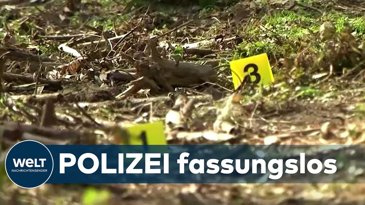 SINSHEIM: Polizeibekannter 14-Jähriger soll 13-Jährigen getötet haben | WELT Dokument