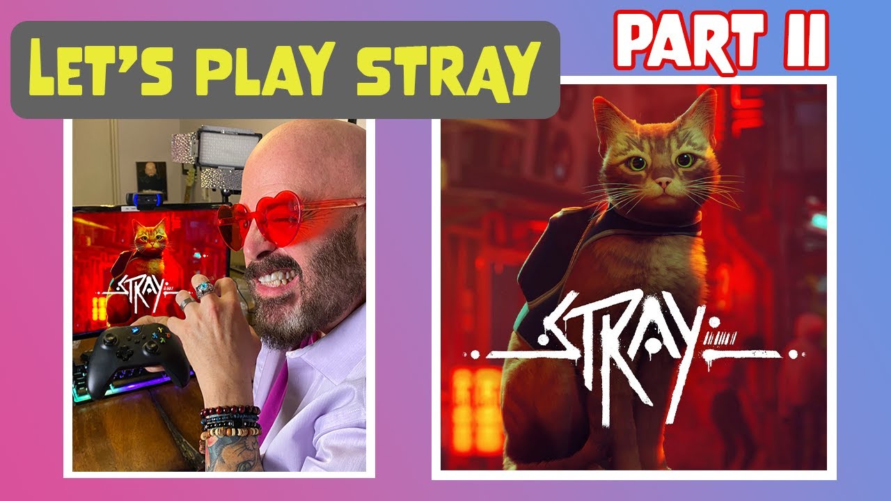 LET'S PLAY STRAY! [PART II]