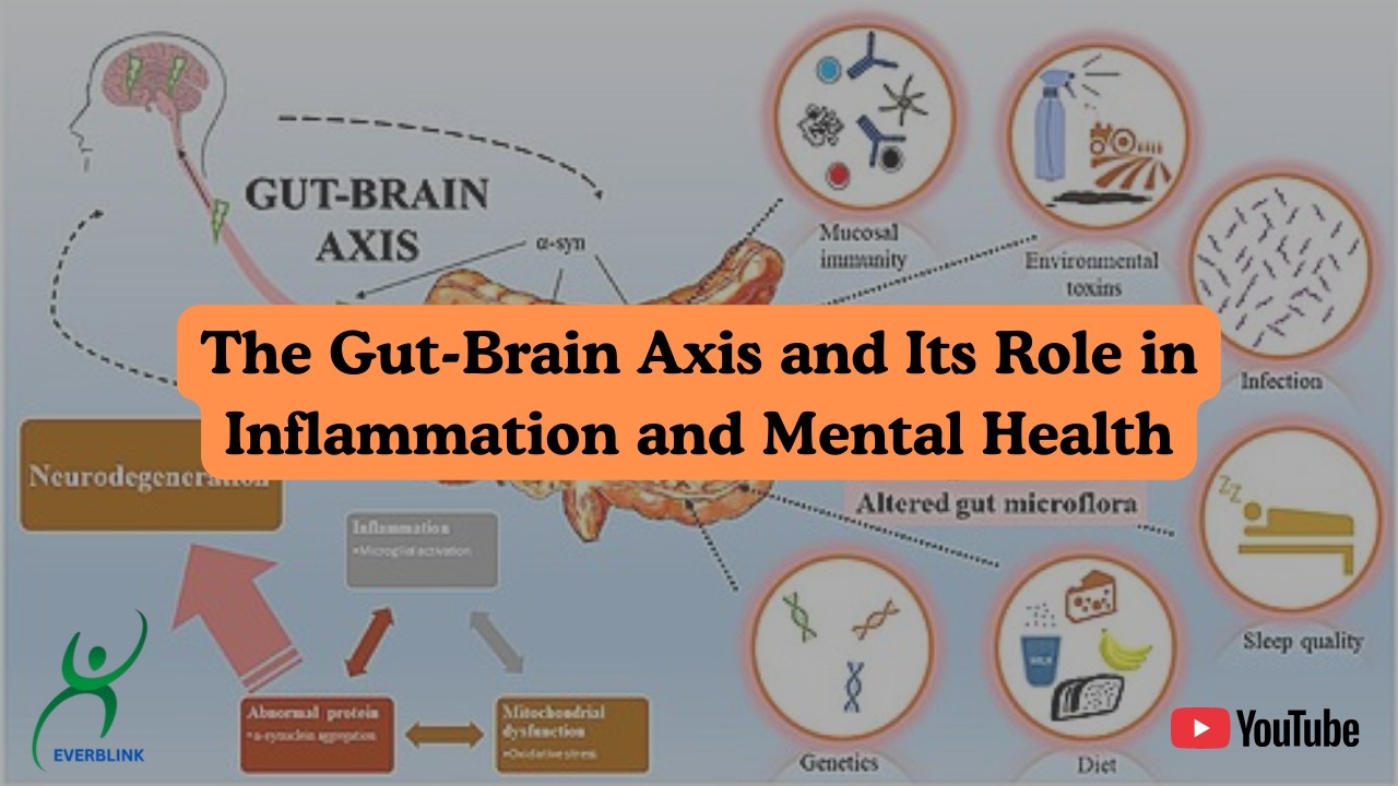The Gut-Brain Axis Explained: How Inflammation Impacts Mental Health and Overall Well-Being