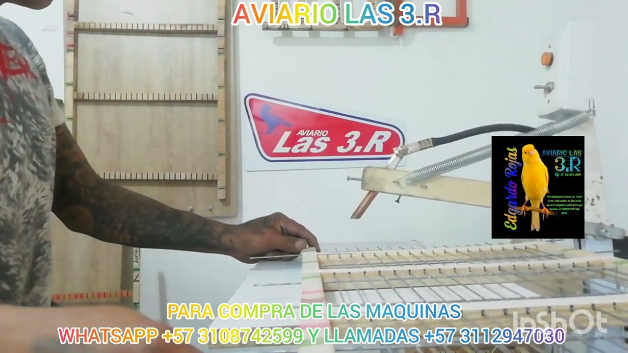 CÓMO HACER JAULAS PARÁ PÁJAROS 🐦 Y CON QUE HACERLA