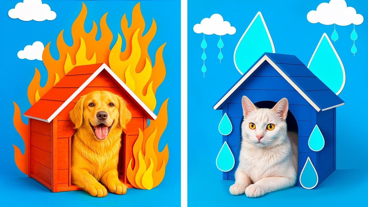 Vuur- en waterhonden! We bouwden een geheime kamer voor onze huisdieren!
