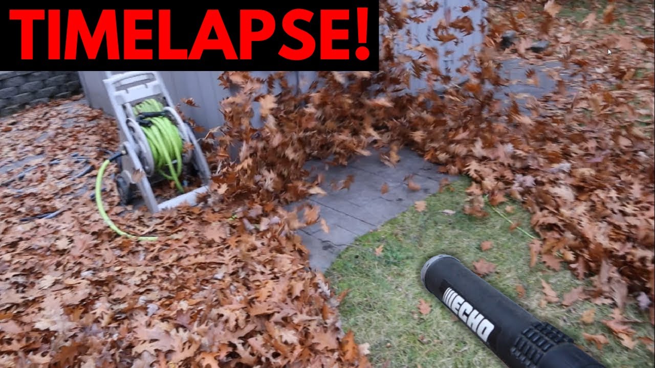 Best Backpack Leaf Blower - Is it the ECHO?  ECHO Leaf Blower Demo!