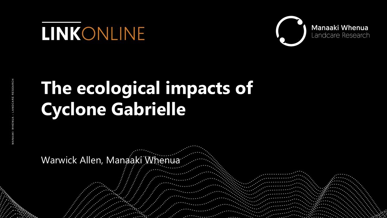 The ecological impacts of Cyclone Gabrielle