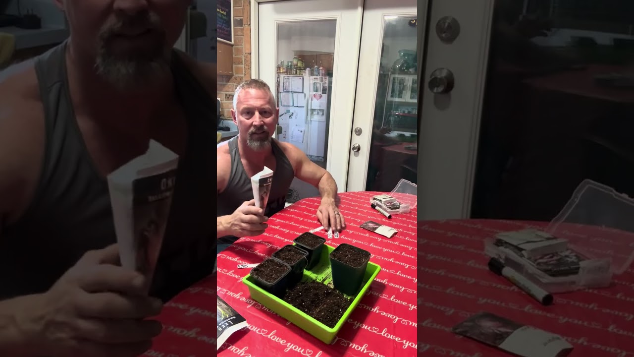 MULTISOW your onion seeds 