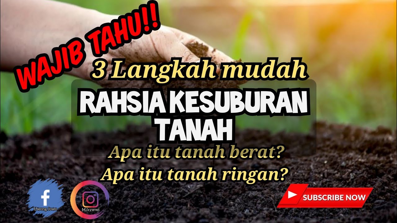 [ BASIC ] Rahsia Tanah Subur dengan 3 Langkah mudah | Campuran Tanah  Terbaik