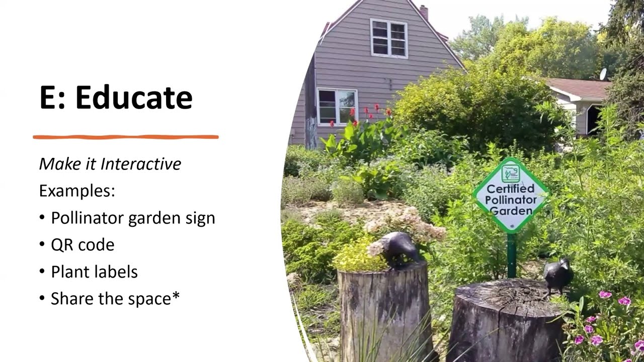 Designing Urban Pollinator Gardens - Spring Fever Garden Forums
