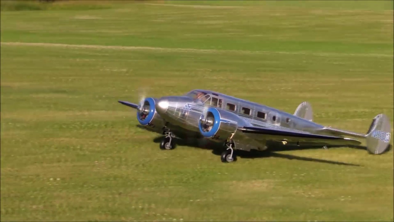 Ziroli Beech 18