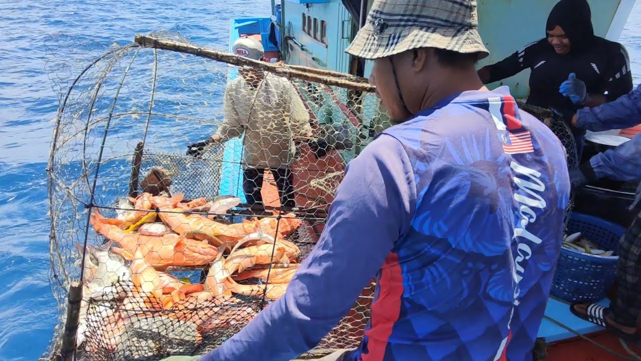 rezeki kerapu strawberi jackpot sebiji bubu 