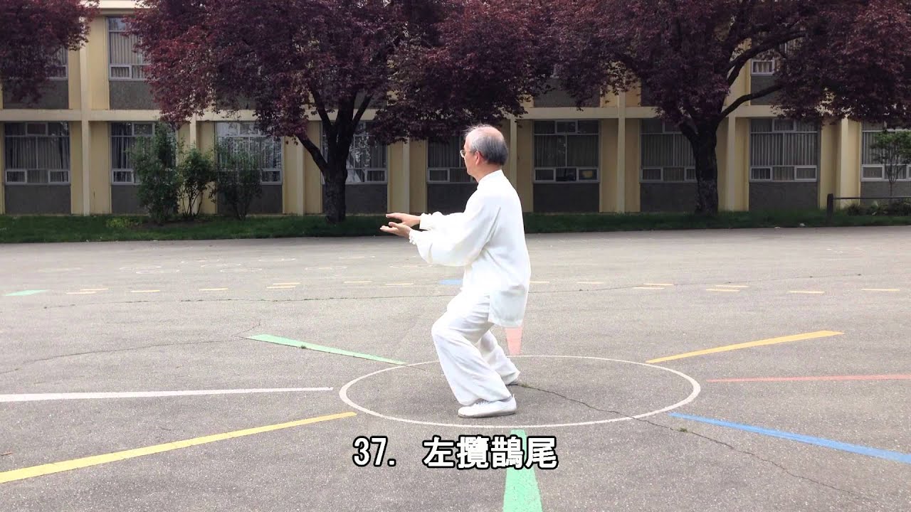 64式太極拳正向 (2014.05.17)