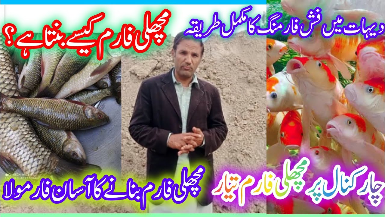 مچھلی فارم کیسے بنتا ہے؟ | چار کنال پر فش فارم بنانے کا مکمل طریقہ | Fish Farming Vlog