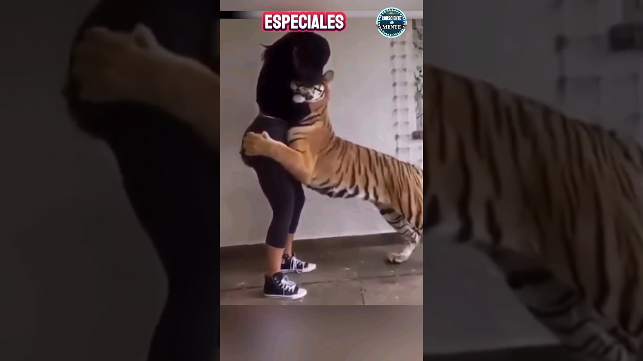 😭Animales y Dueños se Ven Después de Años. 