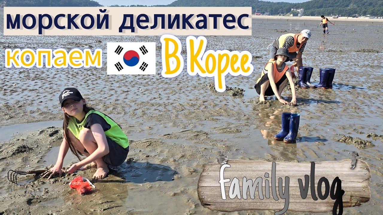 Один счастливый выходной с семьёй в Корее ^^ KOREA VLOG