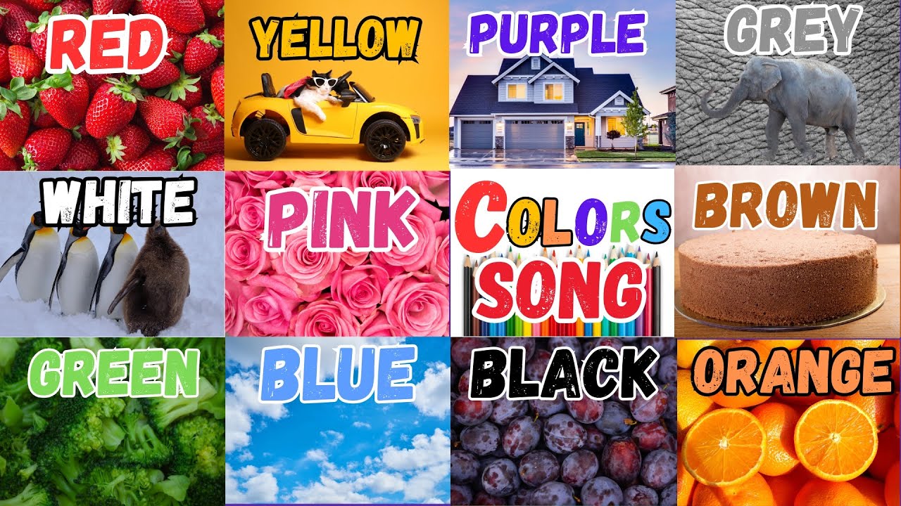 Color Song For Kids And Toddlers | Learn Color Names | #ColorSong | #LearnColors | Learn Vocabulary
