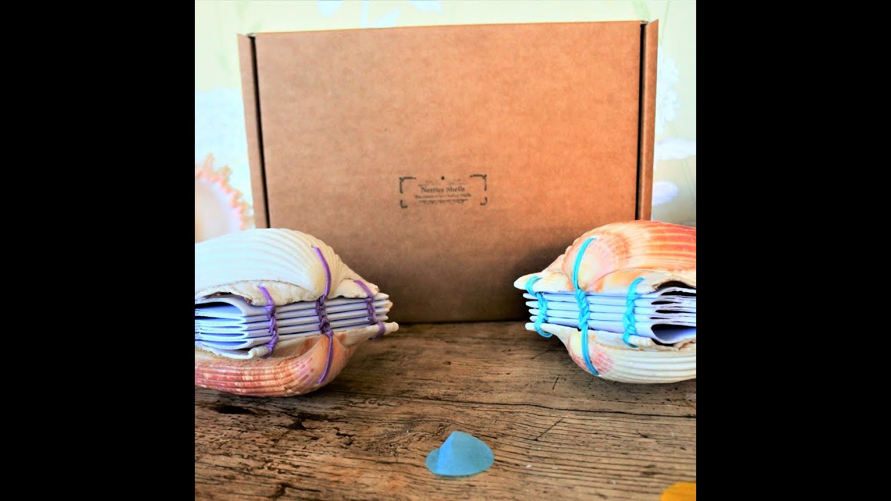 Make your Own Scallop Shell Book with Netties Shells