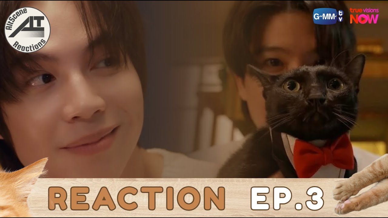 [REACTIONS] AltScene Reactions เอาซีนมารีแอค l เปย์รักด้วยแมวเลี้ยง Cat For Cash EP.3