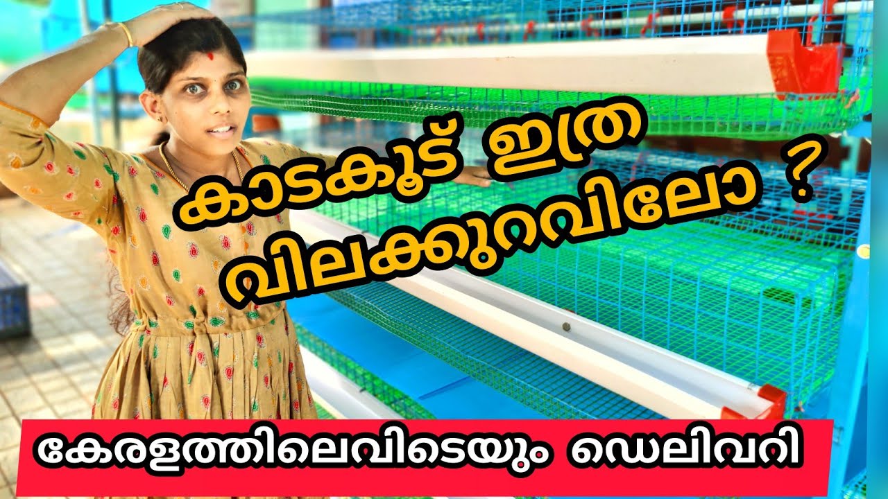 3300/- Rs മുതൽ ഹെടെക് കാട കൂട്   കിട്ടുന്ന ഫ്രീഡം പൗൾട്ടറി കേജസ്. #FreedomPoultryCages