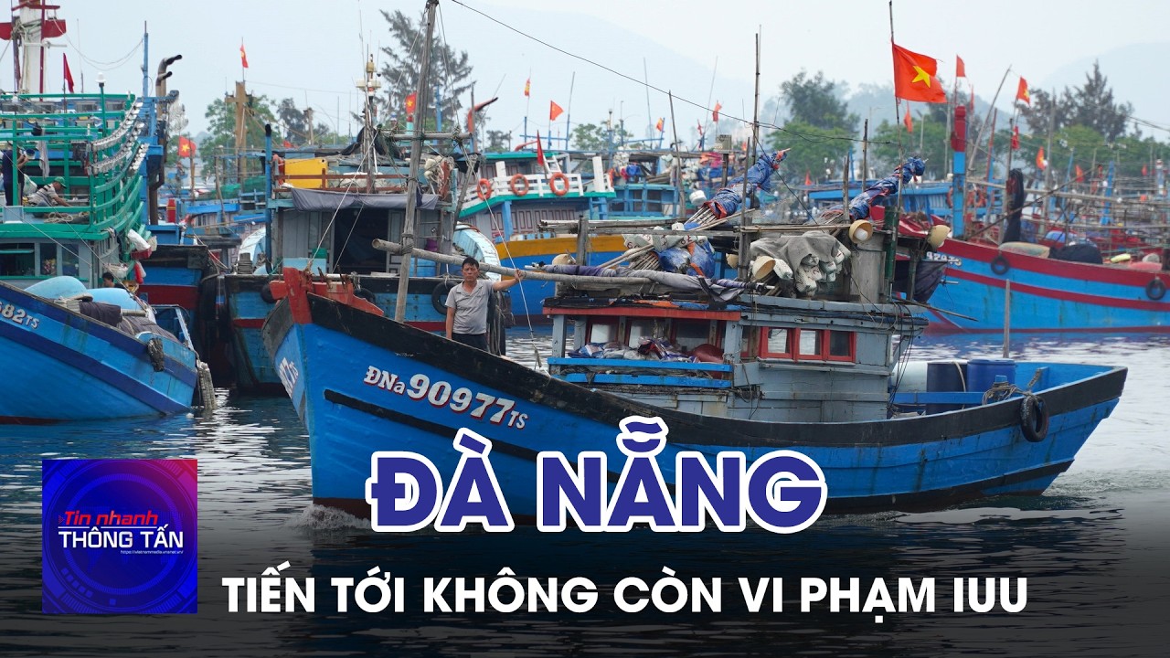 Đà Nẵng tiến tới không còn vi phạm IUU | Tin nhanh Thông tấn