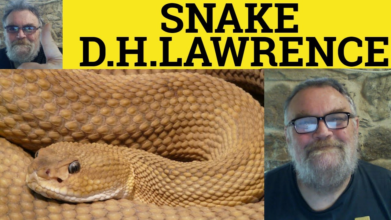 🔵 Snake Poem by D.H. Lawrence - Summary Analysis Reading - Snake by D.H. Lawrence