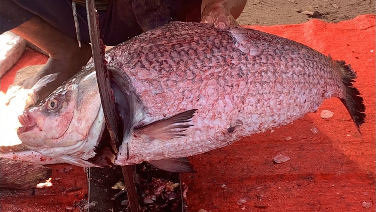 I never seen ll amazing big Katla fish cutting live skills by expert fish cutter in Fishmarket 