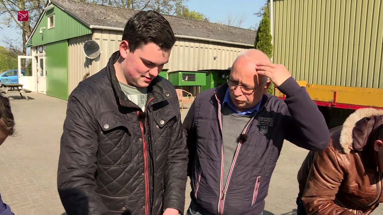 Gekopte tulp krijgt tweede leven