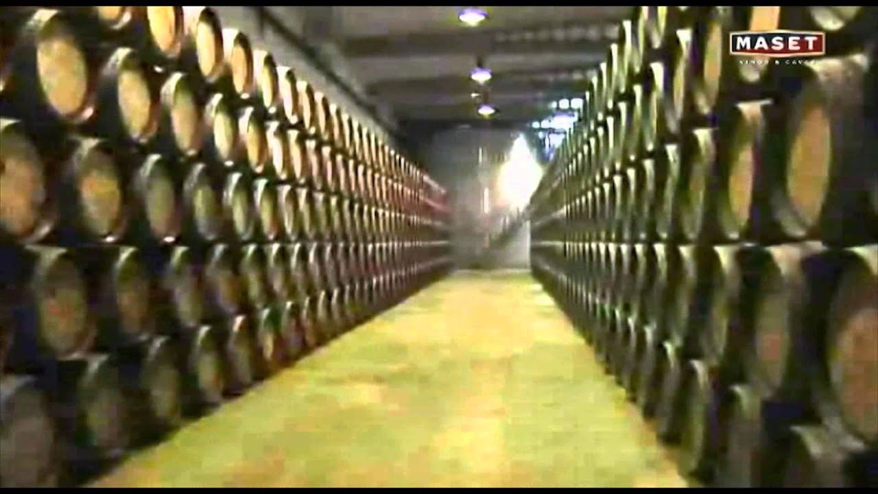 Kapitel 07 - Weinbereitung von Weißwein und Roséwein