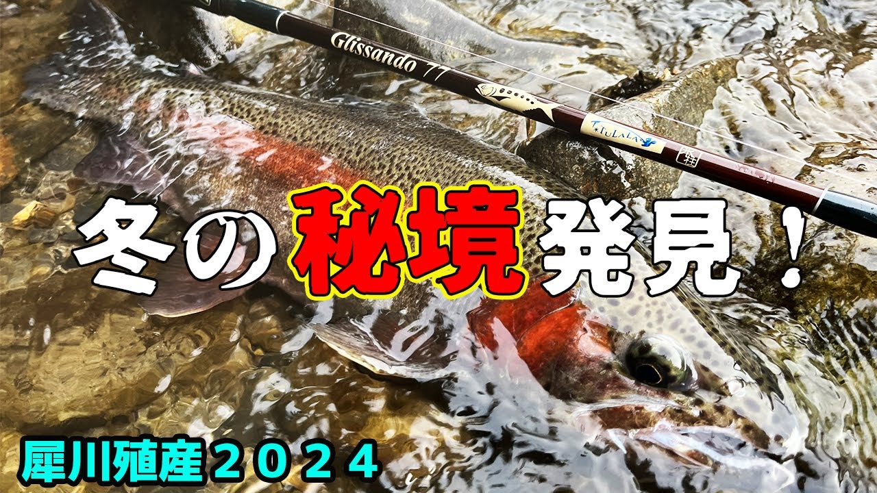 【冬の秘境】犀川殖産でレインボートラウトの群れを直撃！本流トラウトで最高の締めくくり！