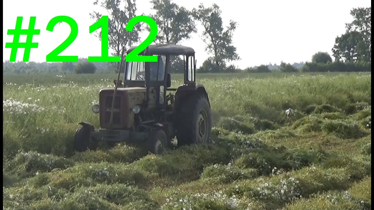 212# Życie zwyczajnego rolnika - Koszenie rumianku + męczenie kosiarki rotacyjnej