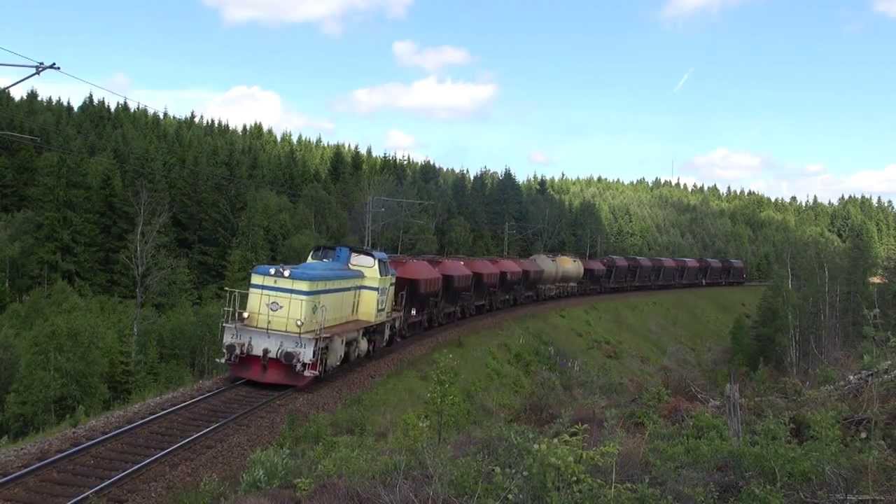 T43 231 med Sandtåget 17.06 2013