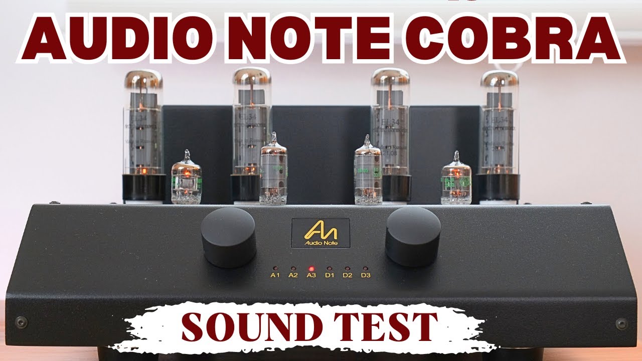 AUDIO NOTE COBRA AMPL. AN-J/Lx SPEAKERS, DAC2.1X SIGN. BURMESTER 939 CD #audionote #hifi  #stereo