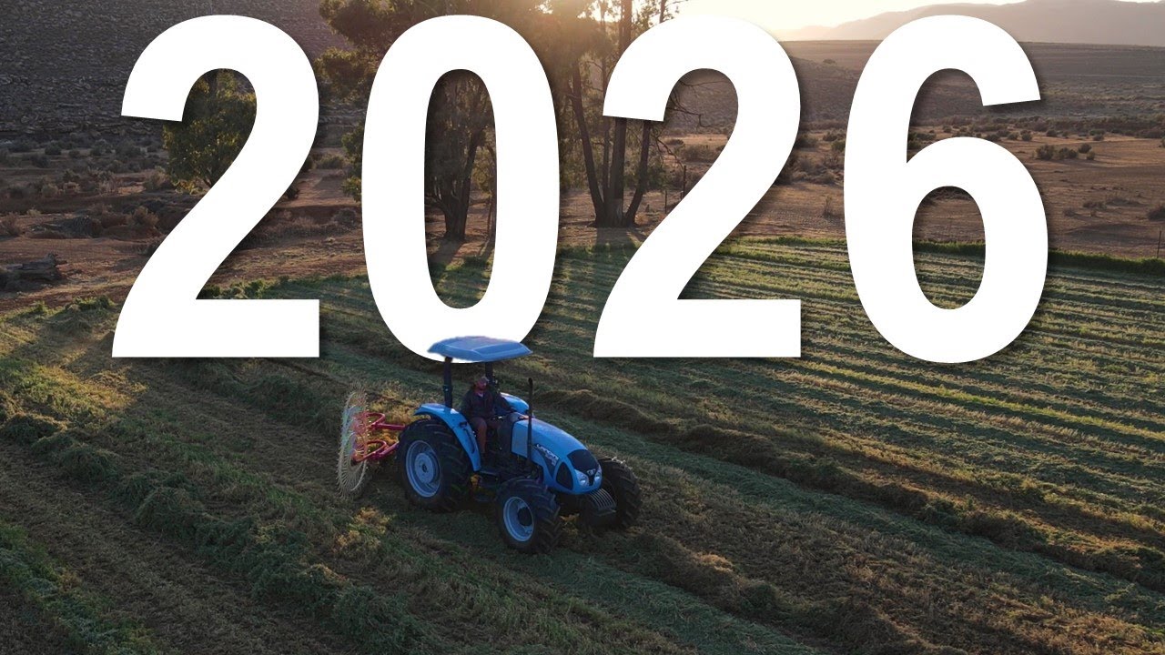 So begin 2026
