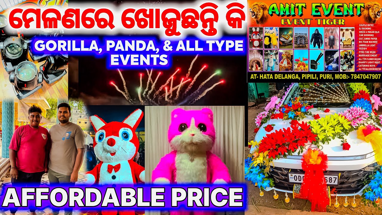 ମେଳଣରେ ଖୋଜୁଛନ୍ତି କି😃GORILLA, PANDA & EVENTS | AFFORDABLE PRICE | AMIT EVENT | PIPILI FESTIVAL