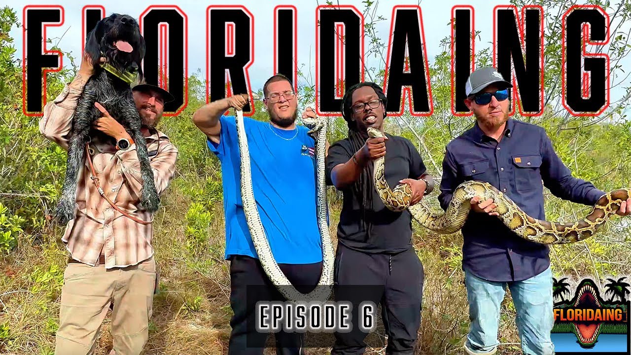 I went PYTHON  hunting in the everglades with Python Cowboy