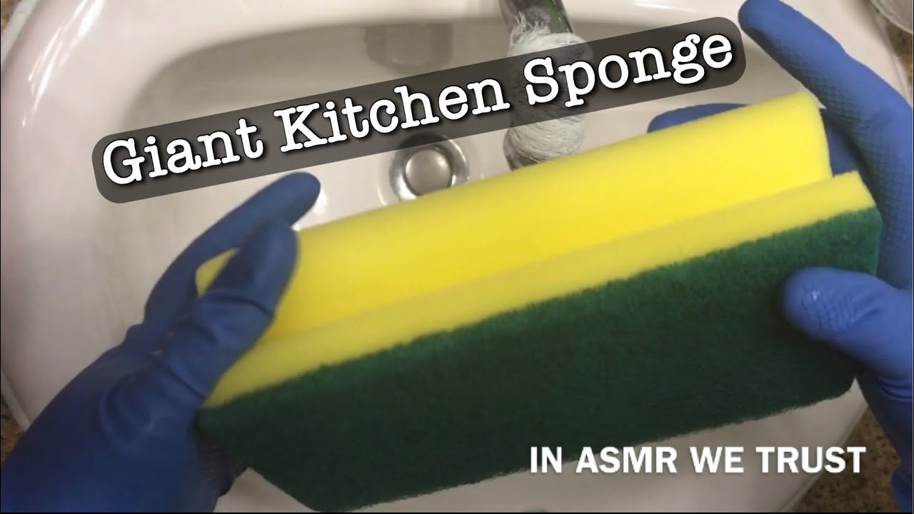 ASMR 🧽 Giant Kitchen Sponge Squeezing with Pinalen | Big Extra Large Massive Scourer Sponge