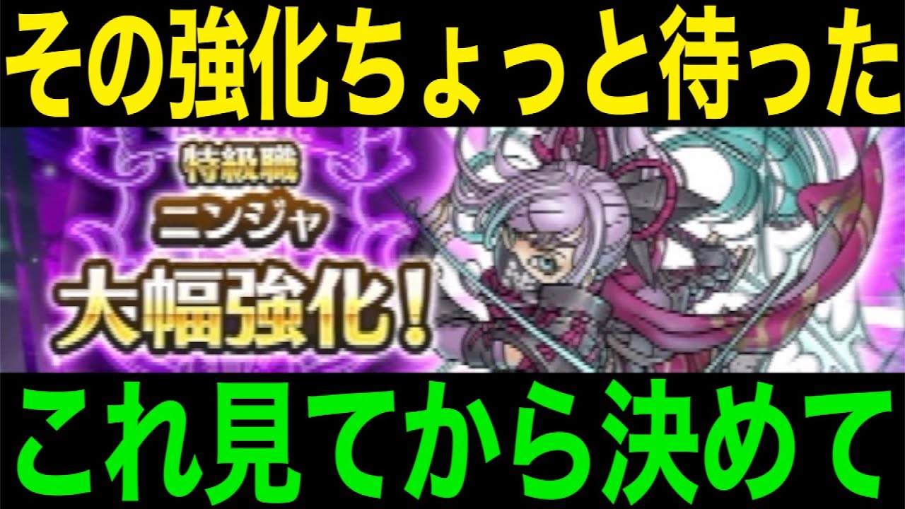結局強化ニンジャどうなの？衝撃の事実が判明しました【ドラクエウォーク】【ドラゴンクエストウォーク】