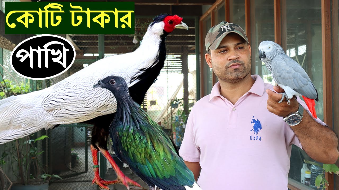 সেনাবাহিনী কর্মকর্তার সখের বিদেশি পাখির খামার।বিদেশি পাখি পালনে লাভ বেশি। Birds farming