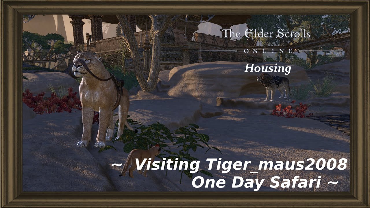 ESO Housing: Visiting Tiger_maus2008 - One Day Safari