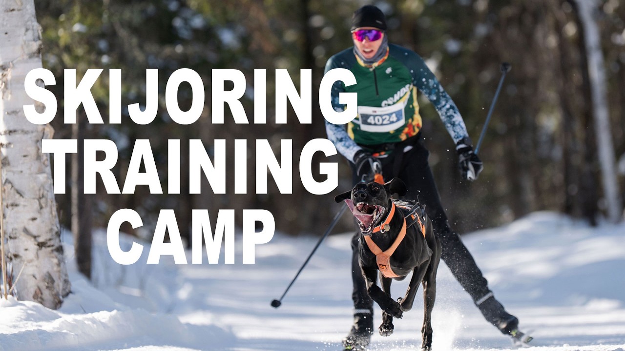 Racing 3 races in Quebec + skiing 140kms in one week - Alma Skijoring Training Camp 2026