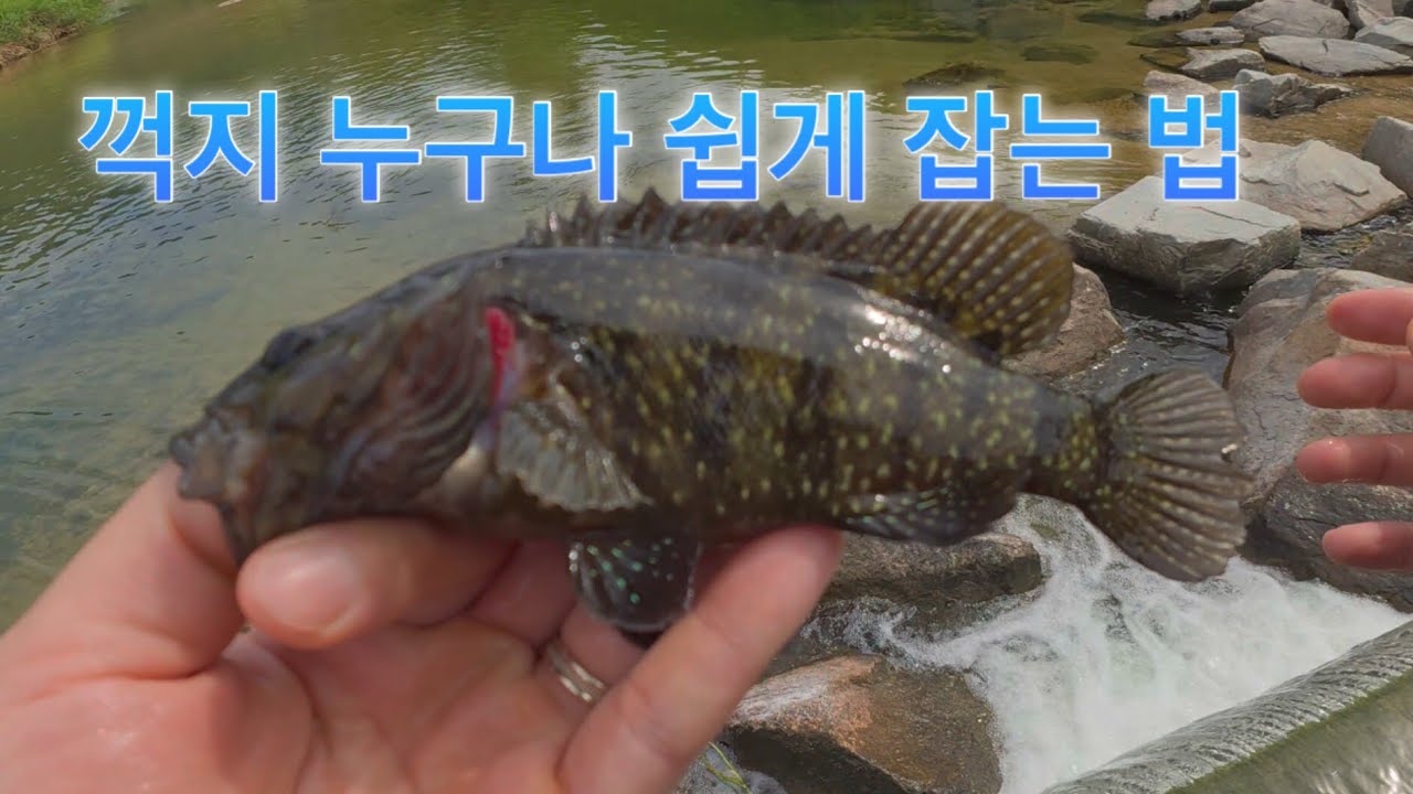 꺽지 누구나 쉽게 잡는 법