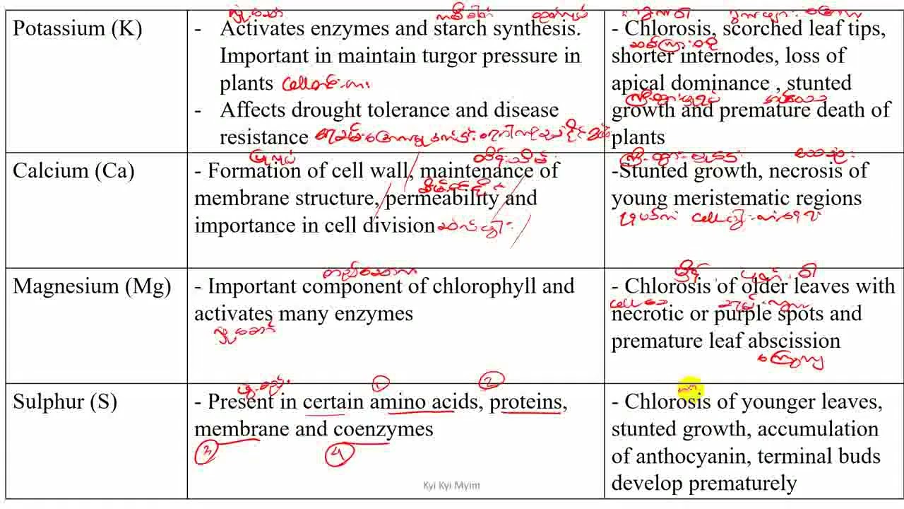 Grade 10 Chapter 4 Table of macronutrients in plants