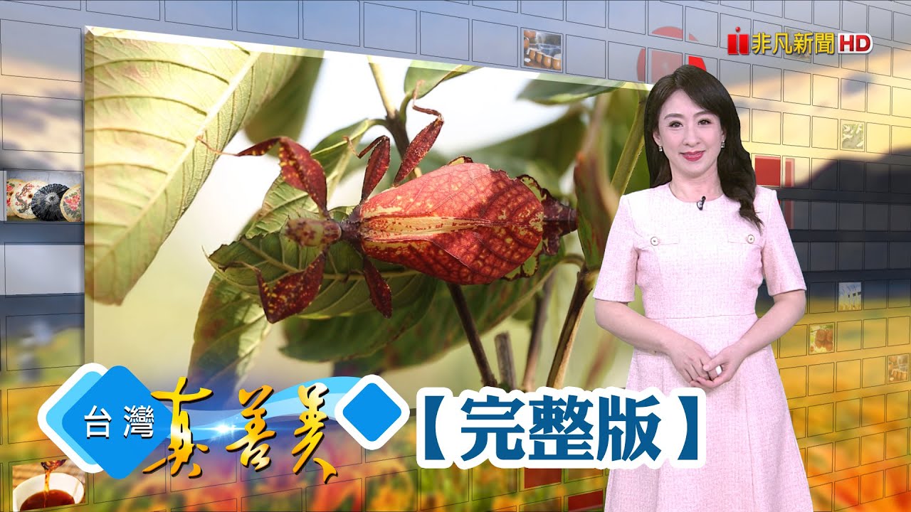 南投百年歷史木建築 喪夫女主人重振家鄉/為愛從農變昆蟲專家 派護衛隊守紅心芭樂/無毒種植基隆山藥 青農打造地下黃金/西螺一甲子柴燒醬油 堅持180天甘醇釀造【台灣真善美】2025.03.30✦全集✦