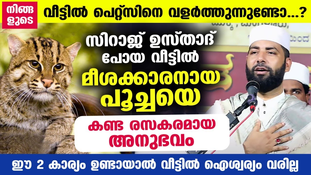 സിറാജ് ഉസ്താദ് പോയ വീട്ടിൽ കണ്ട മീശക്കാരനായ പൂച്ചയെ പറ്റി രസകരമായ അനുഭവം... Sirajudheen Qasimi | Cat