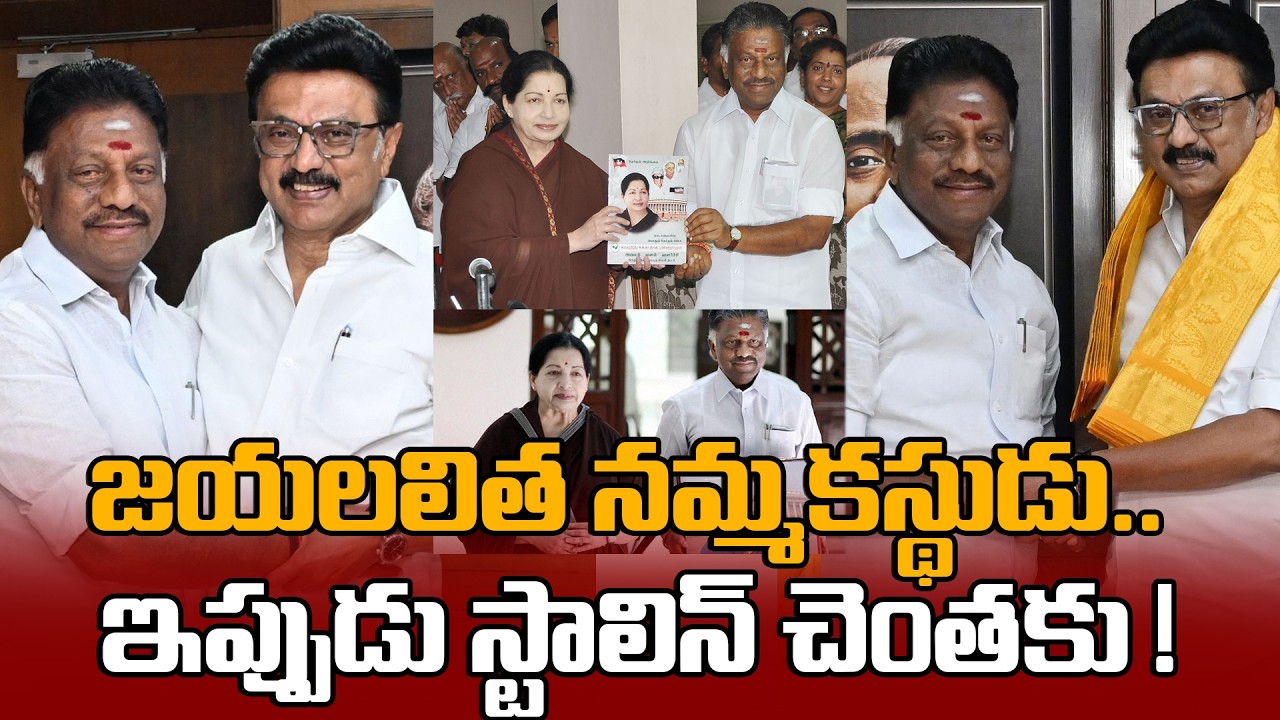 OPS Joins DMK జయలలిత నమ్మకస్థుడు.. స్టాలిన్ చెంతన | TamilNadu Politics 2026| Oneindia Telugu